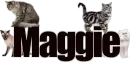 Maggie (Cats)