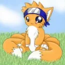 nine tailed fox