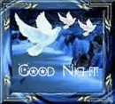 Good Night