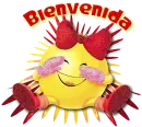 bienvenida