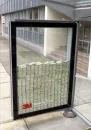 cash