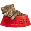 kitty