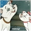 miaoww