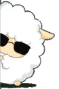 sheep