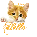 Hello