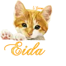 cute kitty - eida