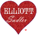 elliott sadler