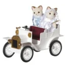 cat bride