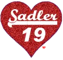 elliott sadler