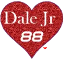 dale jr