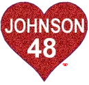 JIMMIE JOHNSON