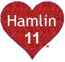 DENNY HAMLIN