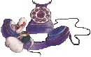 diddle phone 