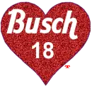 KYLE BUSCH