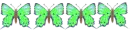 GREEN BUTTERFLY