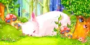 sleeping kitty