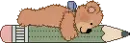 cute bear