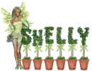 shelly