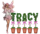 tracy