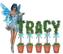 tracy