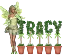 tracy