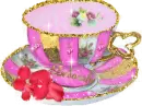 Pink cup for Deborah