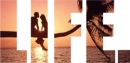 sunset life.