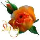 Shirley