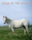 Year of the Horse