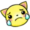 kitty crying