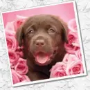 So Cute!