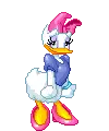 Daisy