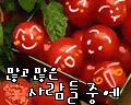 tomato love