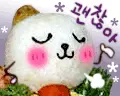 rice ball & onigiri
