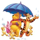 Rainy Day