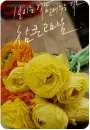 bouquet