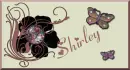 Shirley