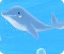 dolphin