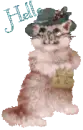 Hello