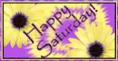 Happy Saturday