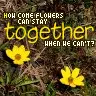together