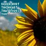 never hurt heart that loves you
