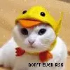 dont even ask