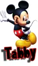 mickey mouse tabby