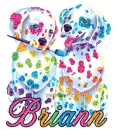 colorful puppies briann
