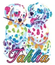 colorful puppies tahlia