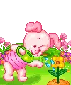 Piglet