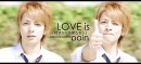 Love Is Pain