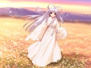 Vast Field