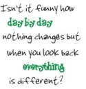 Day by Day